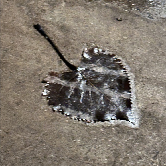 mherlevi